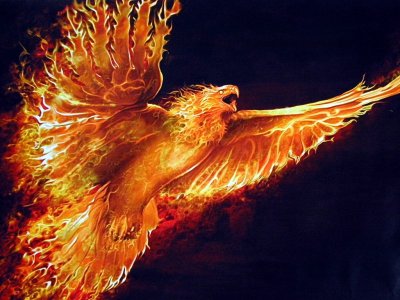 Flying_Phoenix.jpg