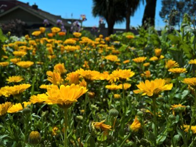 WP_20160421_13_29_57_Rich.jpg