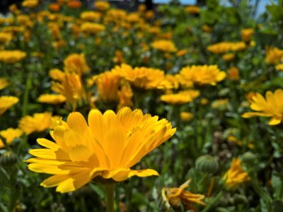 WP_20160421_13_30_05_Rich.jpg