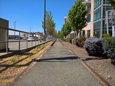 WP_20160421_13_48_13_Rich.jpg
