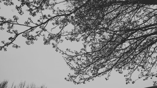 BLACK_3_12_2016 5_32_43 PM.jpg