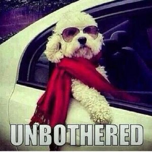 Unbothered[1].jpg
