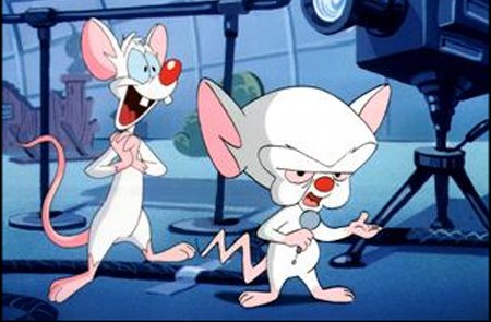 pinky_and_the_brain.jpg pinky_and_the_brain.jpg