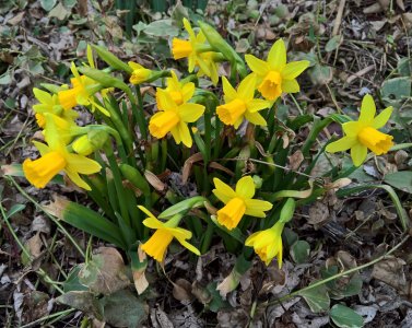 WP_20160310_08_26_05_Rich (2).jpg WP_20160310_08_26_05_Rich (2).jpg