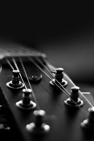 guitar-string-4.jpg