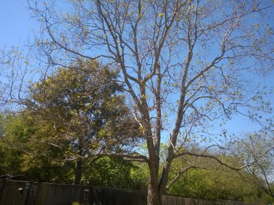WP_20160320_14_13_41_Pro.jpg
