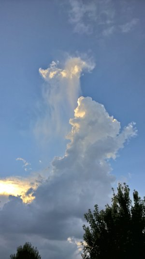 WP_20160830_18_13_47_Rich.jpg
