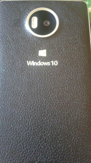 Mozo back windows10.jpeg