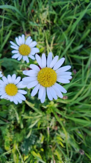 WP_20130719_321.jpg