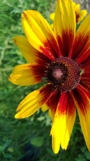 WP_20130719_279.jpg