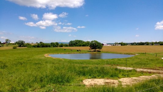 WP_20130525_008.jpg