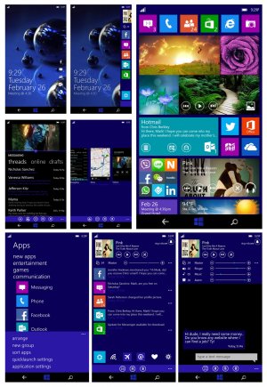 windows.jpg