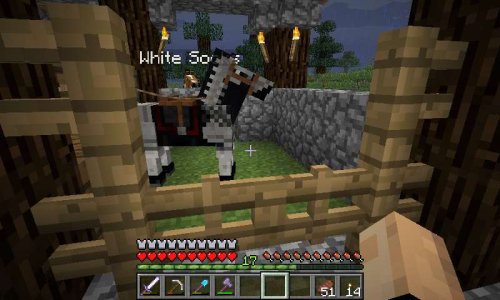 Horsey.jpg