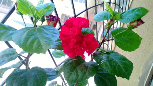WP_20130329_026.jpg