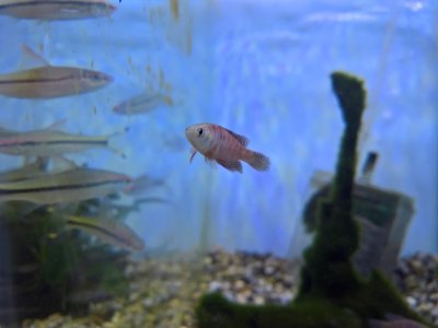 WP_20160725_13_10_58_Rich_zpssxqy7gwu.jpg
