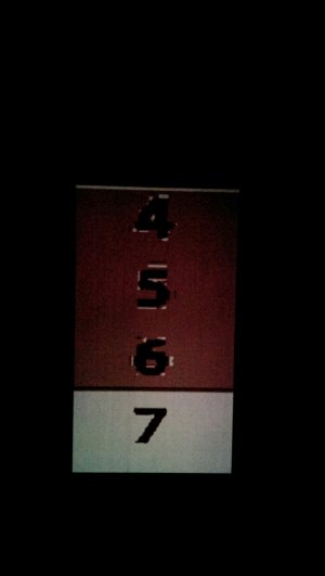 IMAG0950.jpg