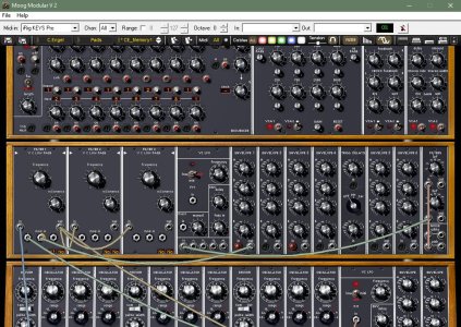 moog2.JPG