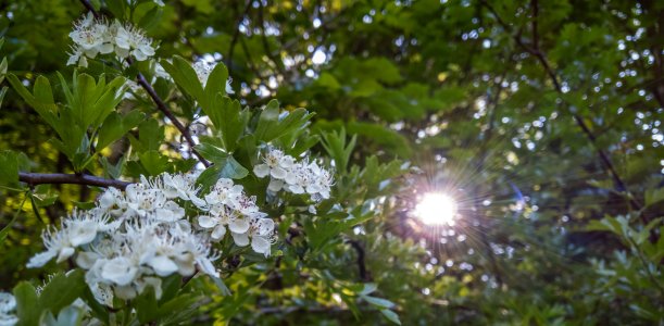 WP_20160605_16_24_34_Rich__highres.noflash.jpg