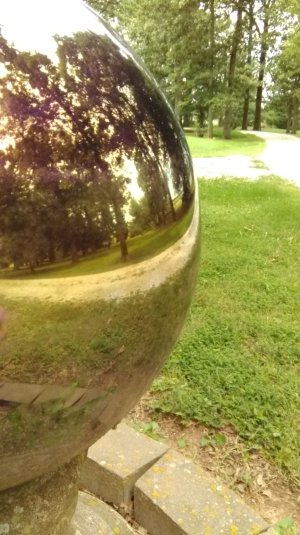 WP_20160814_13_10_10_Pro.jpg