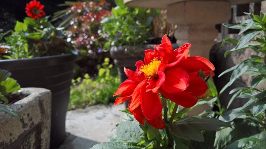 WP_20160609_09_11_15_Pro.jpg