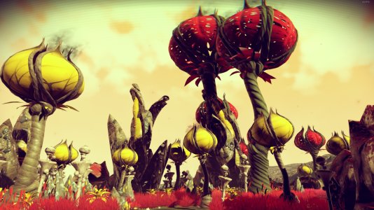 nms_shroom.jpg
