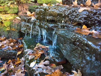 WP_20161118_16_39_22_Pro.jpg