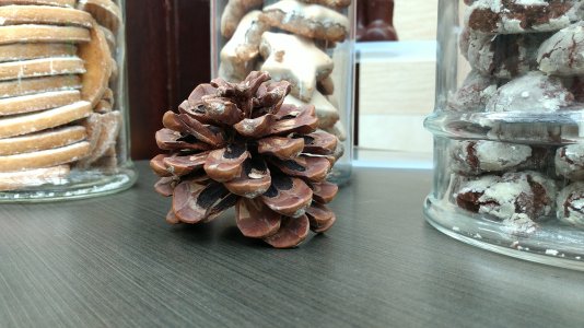 WP_20161125_12_25_43_Pro.jpg