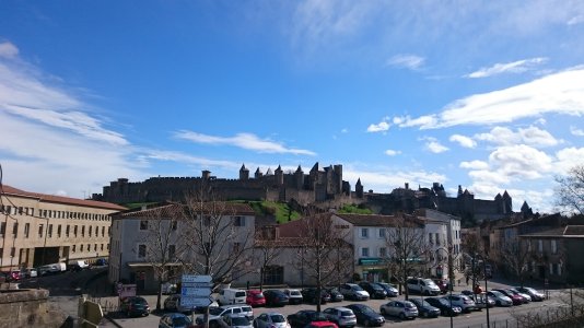 DSC_0106_1.JPG