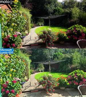 Garden 2.jpg