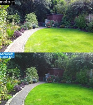 Garden 3.jpg
