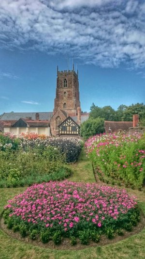DSC_0090-01.jpeg