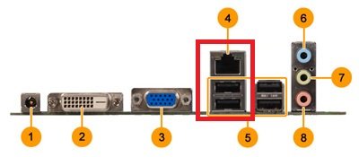 Bluewood3 I-O ports.jpg