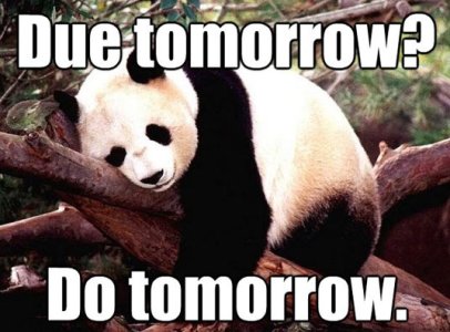 due tomorrow. do tomorrow.jpg due tomorrow. do tomorrow.jpg