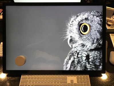 FullSizeRender 6.jpg