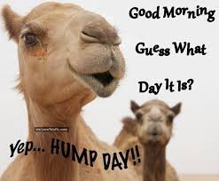 hump day.jpg
