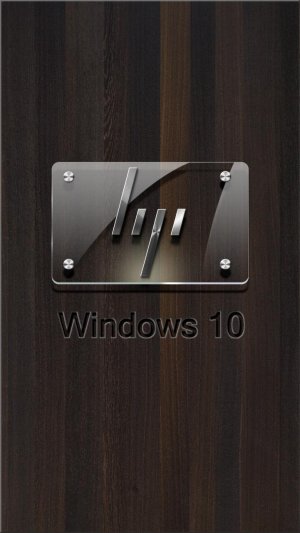 HP new metal logo on glass- smoked wooden background.jpg