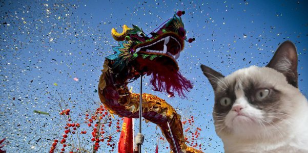 grumpy-cat-chinese-new-year.jpg