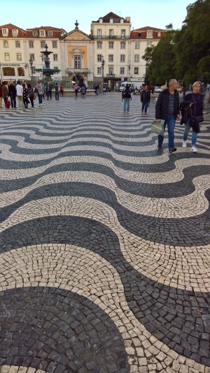 WP_20171102_16_26_33_Rich.jpg
