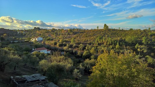 WP_20171104_16_27_14_Rich.jpg