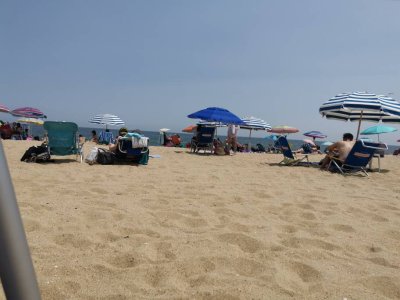 IMG_20190709_134555.jpeg
