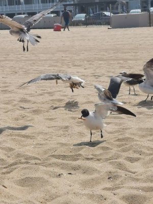 IMG_20190709_155853.jpeg