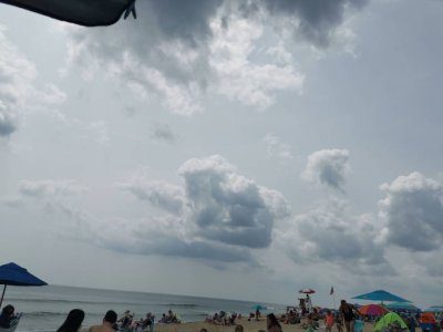 IMG_20190710_115138.jpeg
