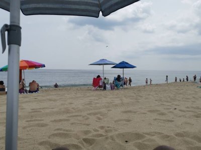 IMG_20190710_125100.jpeg