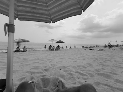 IMG_20190710_125245.jpeg