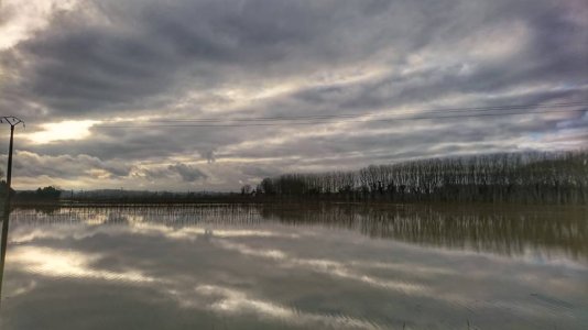 DSC_0012-01.jpeg