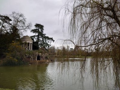 DSC_0554.jpg