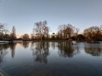 DSC_0565.jpg