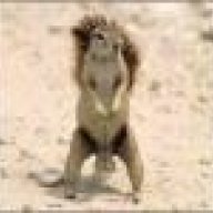 leo5111#WP