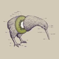 stoickiwi