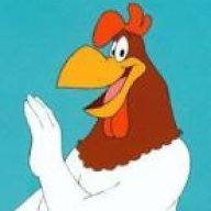 Rooster100